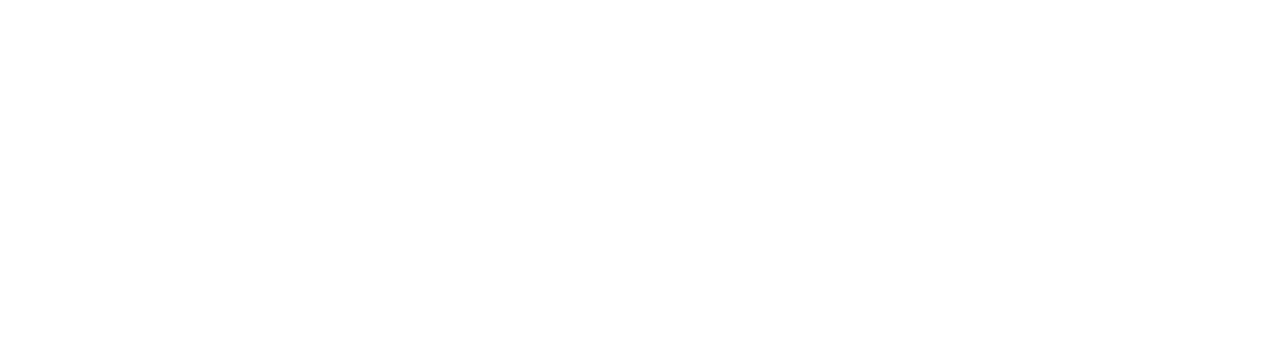 Logotipo BLUMVER blanco